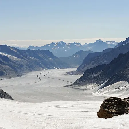 59 Grindelwald